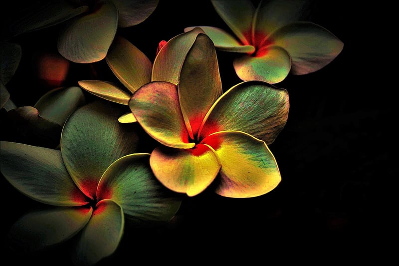 Colorful Abstract Art